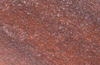 對于家里灰塵的清理，有什么方法嗎？